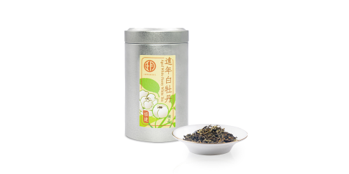 遠年白牡丹